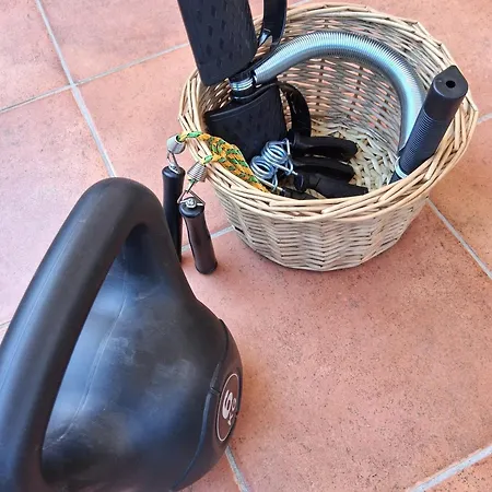 Poppy * 帕拉利米尼