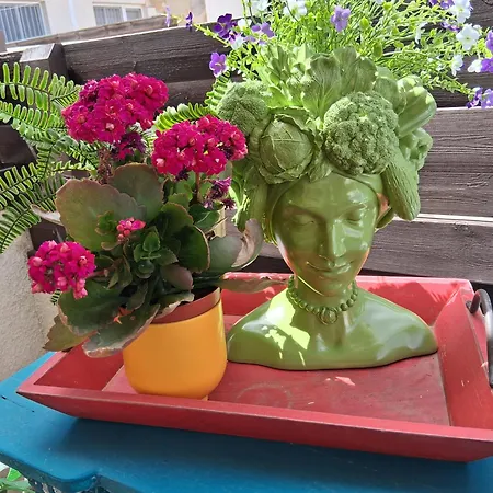 Villa Poppy